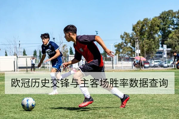欧冠历史交锋与主客场胜率数据查询